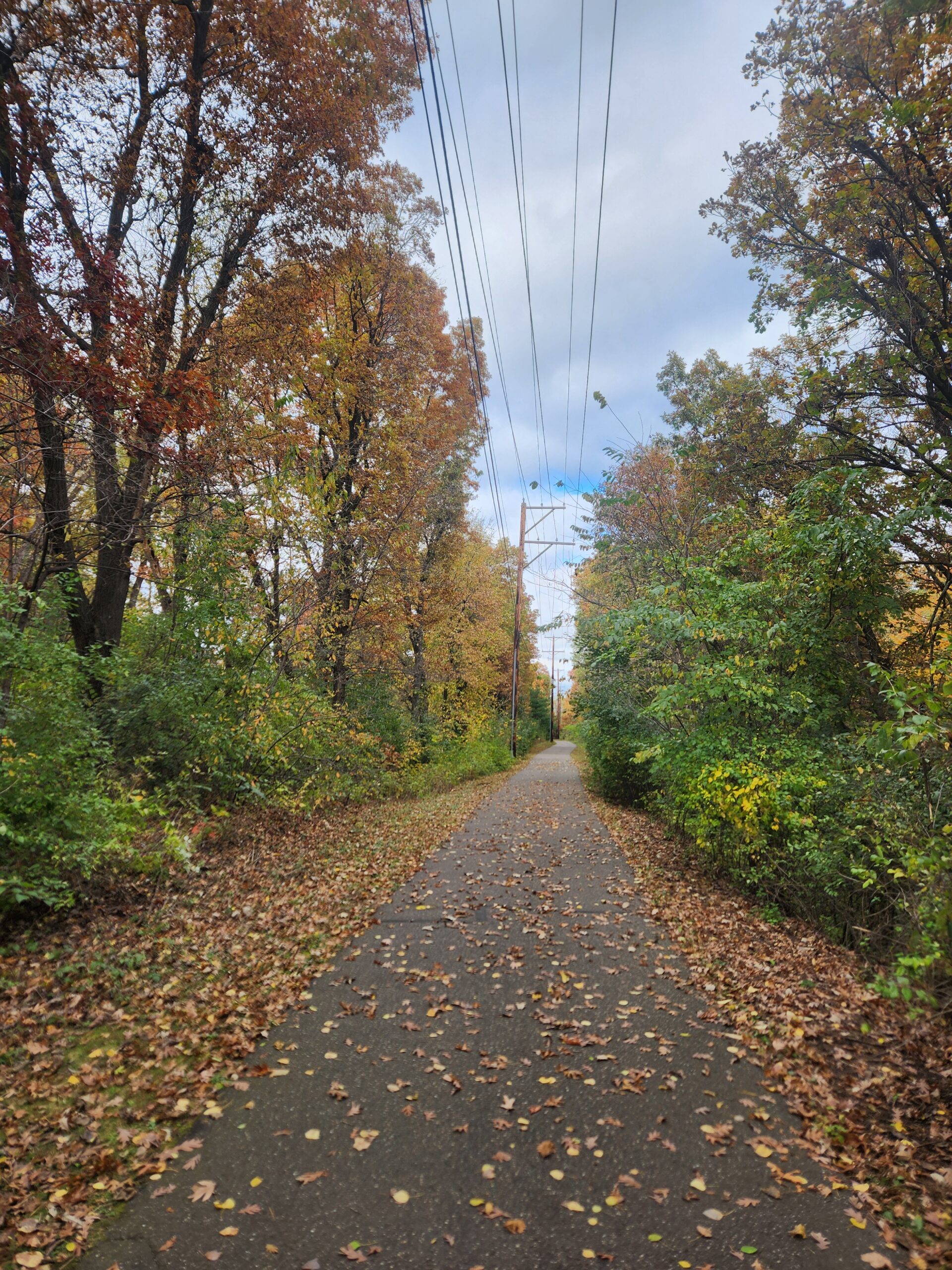 Pathway